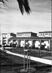 Photo n°142 du livre IMMEUBLES 1988-2002 par Dominique Dutreix